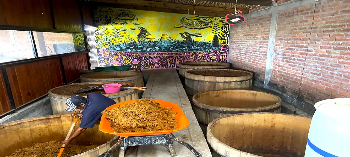 Nuestro mezcal se elabora artesanalmente, respetando métodos tradicionales de fermentación, lo que garantiza un perfil auténtico y sabores complejos únicos.
