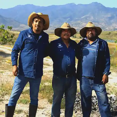 Productores de mezcal Reverens