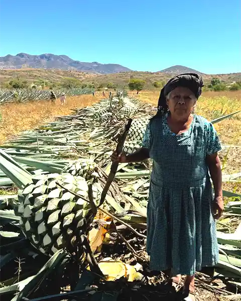 Propietaria de terreno de agave